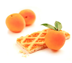 Aurora Naturale - Crostatina albicocca senza glutine - 54gr Bottega senza Glutine