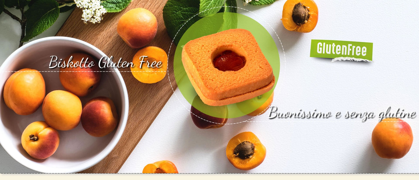 Falcone - Biskotto Albicocca Gluten Free - 55gr Bottega senza Glutine