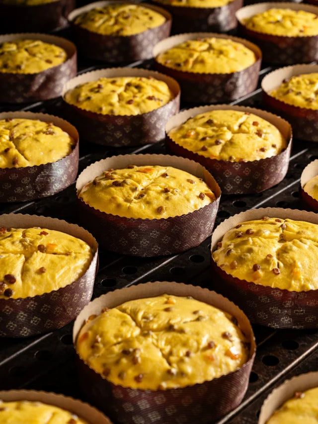 Pan Dolce di Natale - senza glutine senza latte Fraccaro Spumadoro